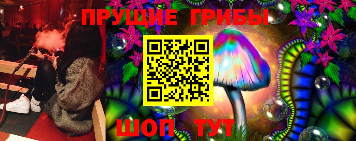 Псилоцибиновые грибы мицелий  Вход с VPN  Химки 